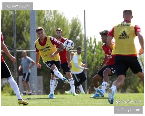 法国队勇夺欧洲U17锦标赛冠军，彰显青训实力与未来竞争力